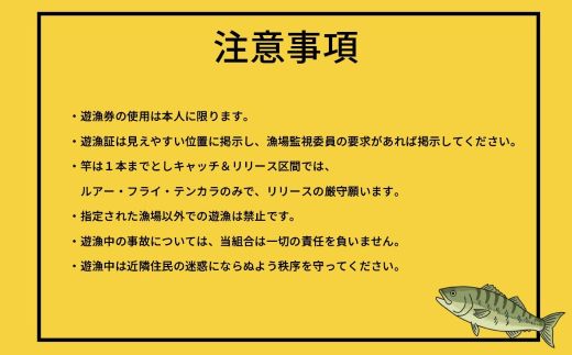 鮎沢川あまご釣り「年券」 高校生　※着日指定不可