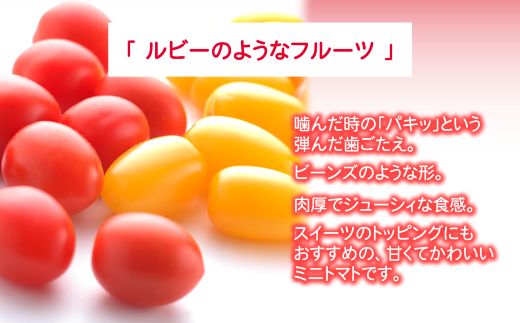 アメーラルビンズ＆ルビンズゴールド　5パック入り