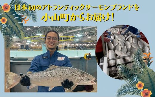 B56【日本初：完全陸上養殖】小山町産アトランティックサーモン（冷凍）ポキ丼（70g×4パック）コク旨ごまだれ