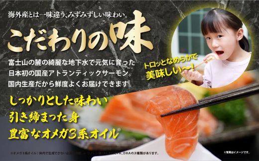 10B13国産 小山町産 アトランティックサーモン 冷凍 スモークサーモン 80g×4パック 冷燻 