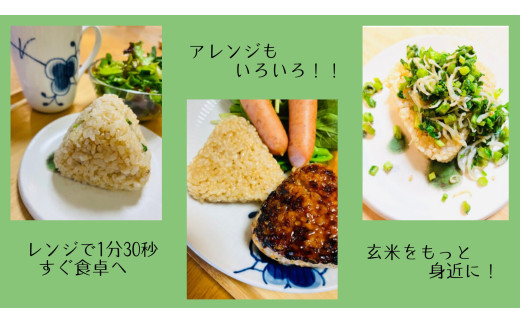 10B1玄米deむすび　3パック