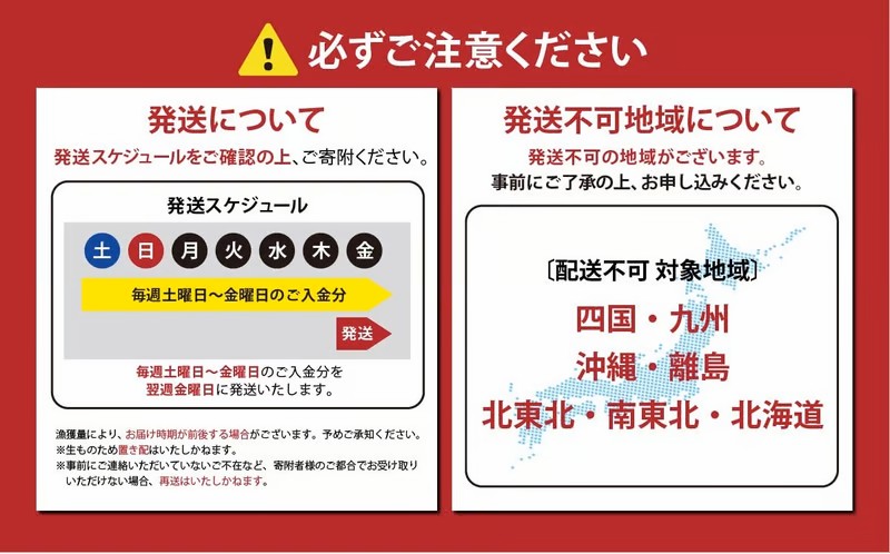 1B6【日本初：完全陸上養殖】「 フジサクラサーモン 」【 生 ・冷蔵】800ｇ
