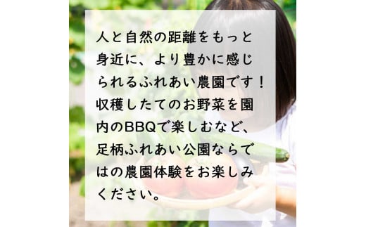 2H7足柄ふれあい公園　体験農園　スタンダード農園プラン（12か月）