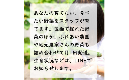 3AD2足柄ふれあい公園　体験農園　畑オーナープラン（12か月）