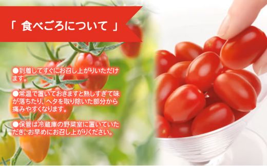 4A28アメーラルビンズ＆ルビンズゴールド　5パック入り