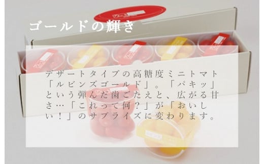 B51アメーラルビンズ＆ルビンズゴールド　5パック入り