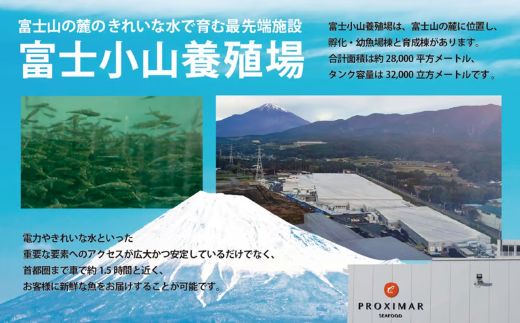 日本初 完全陸上養殖 静岡県小山町産 アトランティックサーモン 冷凍 ポキ丼 （ 約160g × 4パック ）コク旨ごまだれ