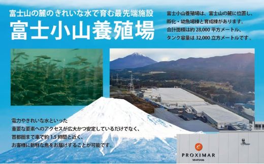 B59【日本初：完全陸上養殖】小山町産アトランティックサーモン（冷凍）ポキ丼（70g×4パック）プレーン（味付けなし）