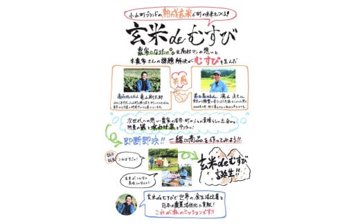 10B1玄米deむすび　3パック