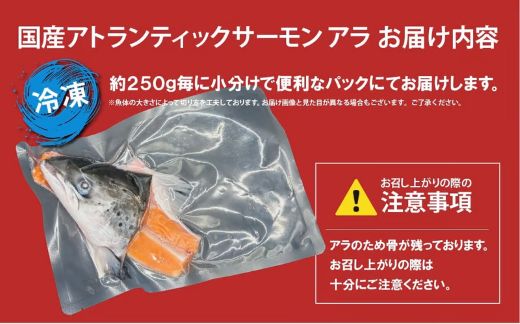 11A43小山町産アトランティックサーモン（アラ×２パック）