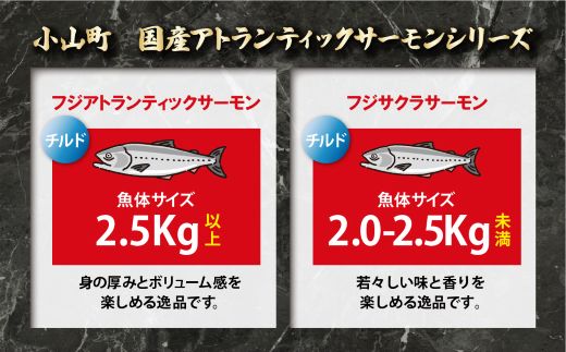 1B6【日本初：完全陸上養殖】「 フジサクラサーモン 」【 生 ・冷蔵】800ｇ