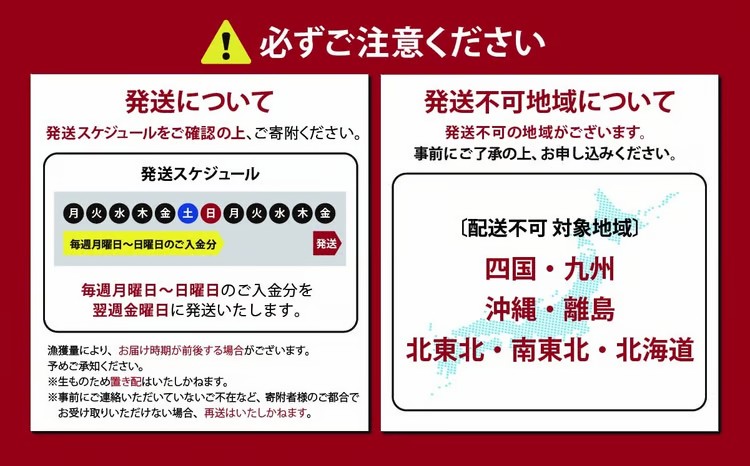 2B10日本初 完全陸上養殖 小山町産 アトランティックサーモン 冷凍 4パック 1,000～1,050g（ 1,000g以上 ）