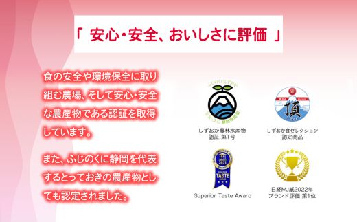 2B4アメーラトマト