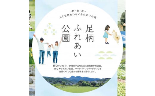 2H7足柄ふれあい公園　体験農園　スタンダード農園プラン（12か月）