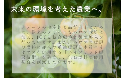 B51アメーラルビンズ＆ルビンズゴールド　5パック入り