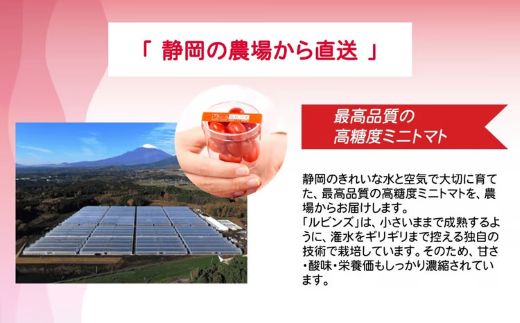 アメーラ＆ルビンズ5P