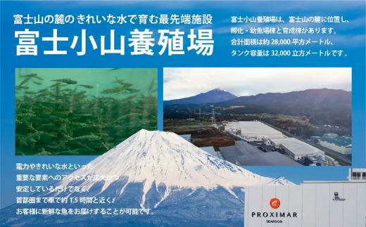 10B15国産 小山町産 アトランティックサーモン 冷凍 スモークサーモン 冷燻・グラブラックス 食べ比べセット80g×2パック×2つの味