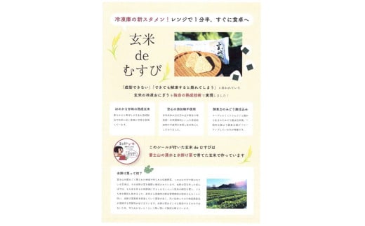 10B1玄米deむすび　3パック