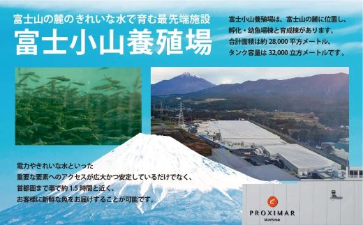 2B10小山町産アトランティックサーモン（４パック）