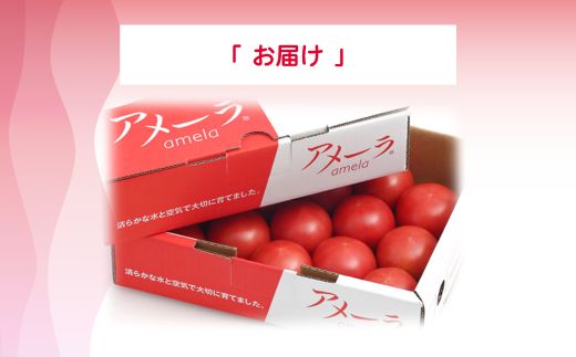 2B4アメーラトマト