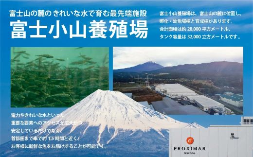国産 小山町産 アトランティックサーモン 冷凍 スモークサーモン 冷燻・グラブラックス 食べ比べセット80g×4パック×2つの味