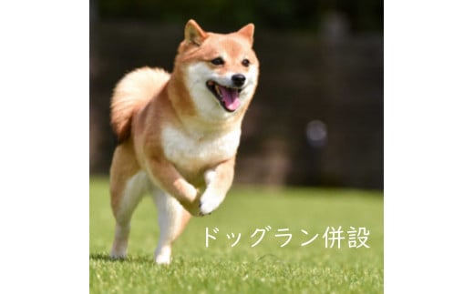 3AD2足柄ふれあい公園　体験農園　畑オーナープラン（12か月）