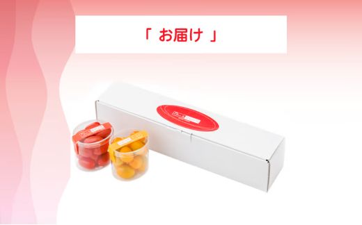 4A28アメーラルビンズ＆ルビンズゴールド　5パック入り