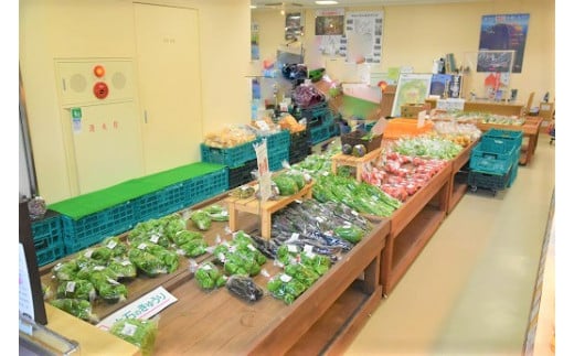 101B2道の駅すばしり利用券500円×6枚