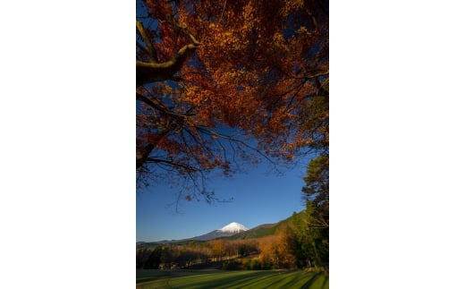 I23東富士カントリークラブ　ゴルフプレー利用券　３枚 【小山町内 ゴルフ場 共通利用券】