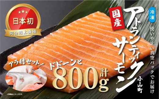 10B8【日本初：完全陸上養殖】小山町産 アトランティックサーモン【冷凍】800ｇ +アラ付きセット