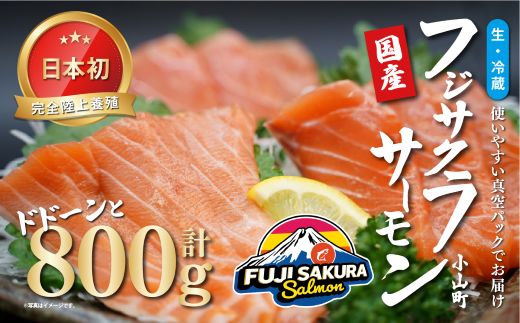 1B6【日本初：完全陸上養殖】「 フジサクラサーモン 」【 生 ・冷蔵】800ｇ