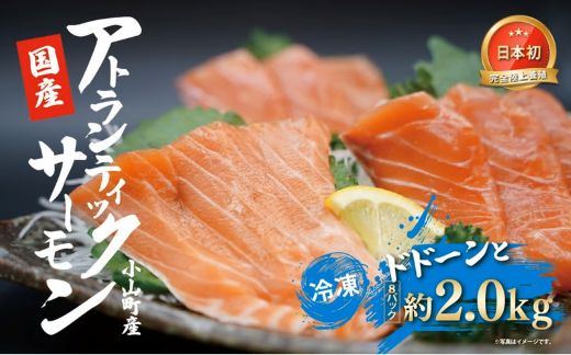 1F21日本初 完全陸上養殖 小山町産 アトランティックサーモン 冷凍 8パック 約2.0kg