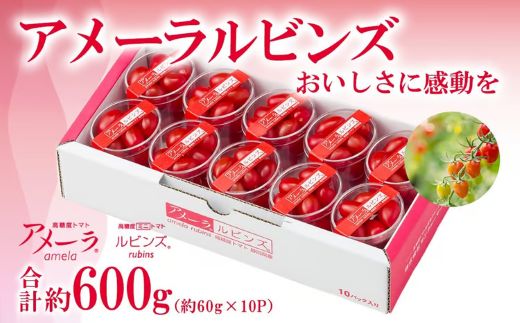 アメーラルビンズ 10パック入り