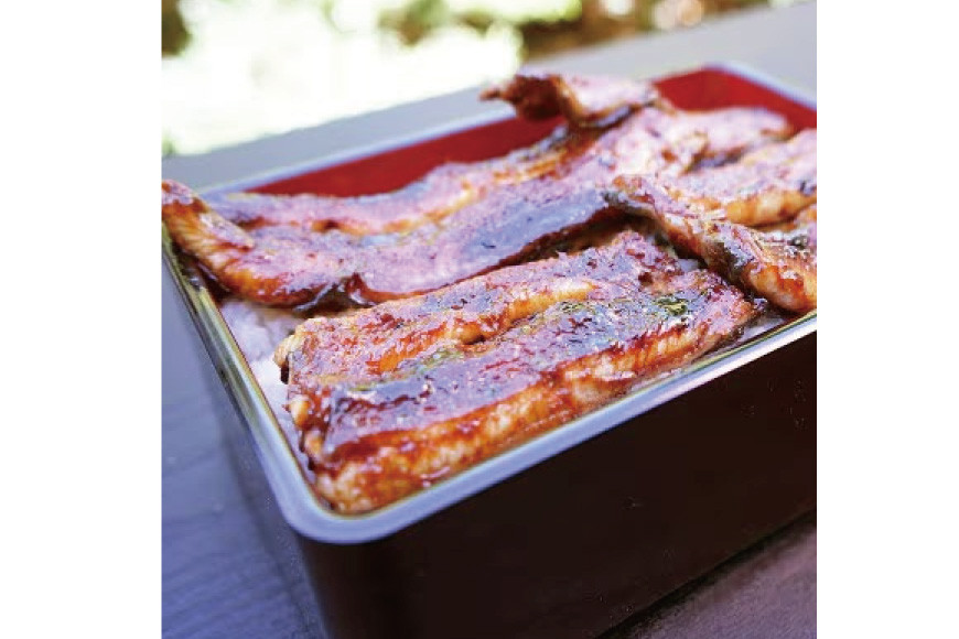 うなぎ 国産 訳あり 白焼 血抜き締め 500～550g セット 5～7本程度 [ヤママツ村田商店 静岡県 吉田町 22424596-b] 鰻 ウナギ unagi 白焼き うなぎ白焼 鰻白焼 炭火焼 冷凍 規格外