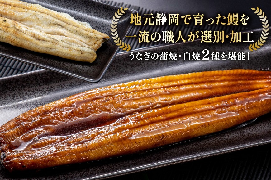 うなぎ 静岡県産 鰻2尾 約160g×2 蒲焼1尾 白焼1尾 [駿河淡水株式会社 静岡県 吉田町 22424653] 国産 鰻 ウナギ 蒲焼 蒲焼き かば焼き 白焼き 白焼 真空パック
