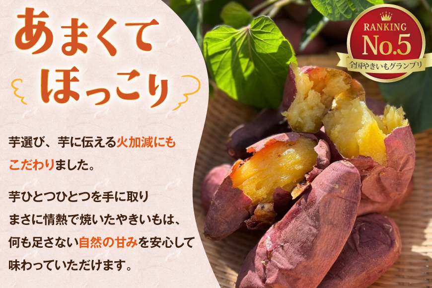【期間限定発送】 焼き芋 「元気が出るやきいも（フローズン）」紅はるか 1kg 冷凍 [うみとやきいもラッキーズ 静岡県 吉田町 22424683] やきいも 焼きいも 焼芋 ヤキイモ 焼イモ おいも 芋 いも べにはるか さつま芋 さつまいも サツマイモ おやつ スイーツ