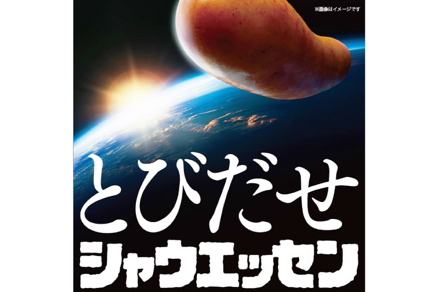 シャウエッセン 約6本入 2束 12袋 計144本 [ 日本ハム マーケティング 静岡県 吉田町 22424102] 冷蔵 小分け ウインナー ウィンナー ソーセージ 粗びき 粗挽き あらびき 業務用 惣菜 弁当 お弁当 おかず おつまみ バーベキュー