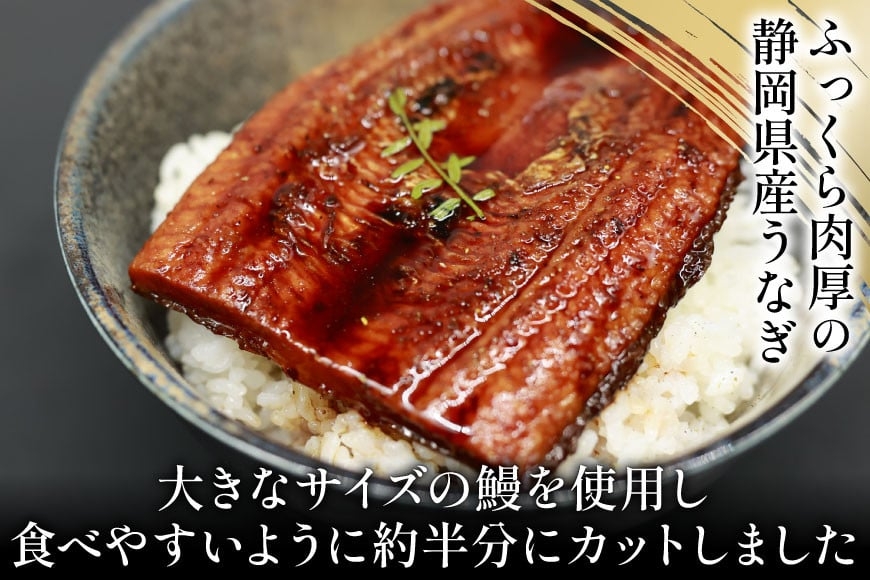 うなぎ 国産 静岡 うなぎ蒲焼 ハーフカット 100g ×6 計600g [静岡鰻販売 静岡県 吉田町 22424172] 鰻 ウナギ うなぎ蒲焼き うなぎ蒲焼 真空パック 冷凍 蒲焼 肉厚 ふっくら