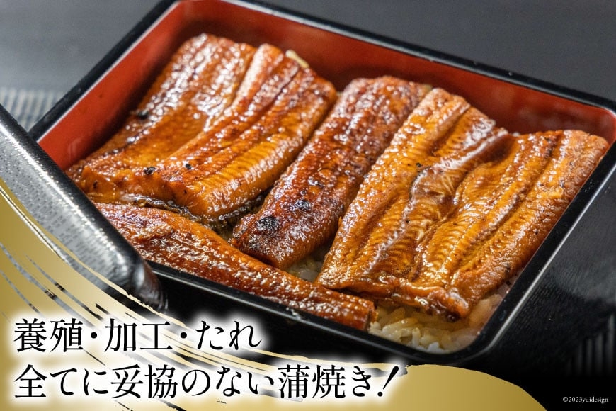 うなぎ 国産 静岡 うなぎ蒲焼 カット 80g ×6 計480g [静岡鰻販売 静岡県 吉田町 22424173] レンジ 鰻 レンチン ウナギ うなぎ蒲焼き うなぎ蒲焼 真空パック 冷凍 蒲焼 肉厚 ふっくら 静岡県産