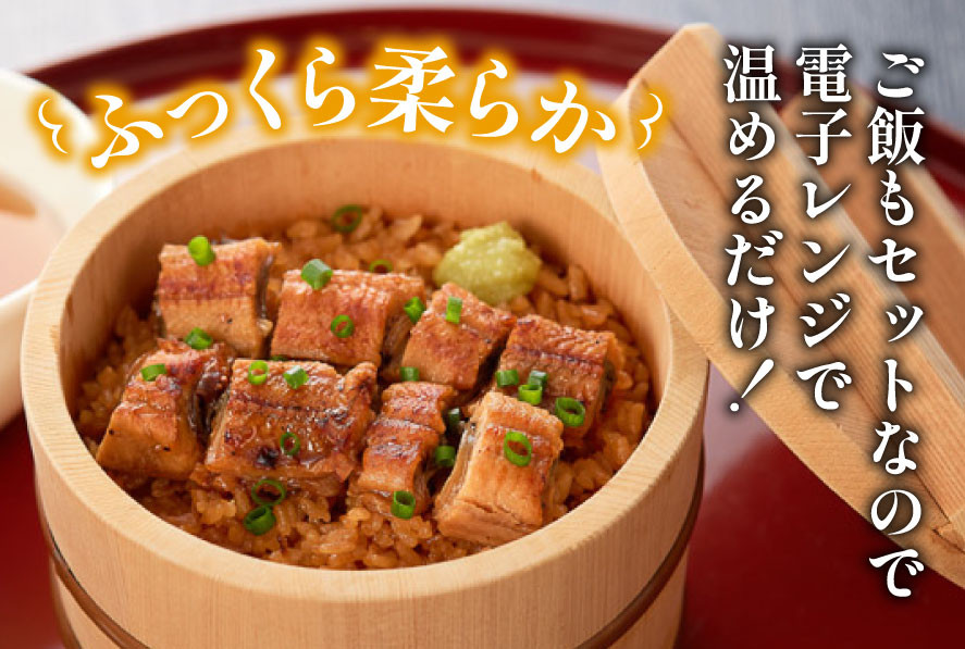 うなぎ 国産 櫃まぶし 220g ×2 計440g【綱正】[フーズ・ユー 静岡県 吉田町 22424189] 鰻 ウナギ 蒲焼 蒲焼き ひつまぶし 詰め合わせ 冷凍 ご飯 ごはん