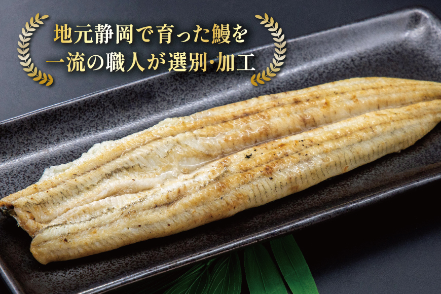 うなぎ 国産 白焼 定期便 160g程度 2尾 12回 総計24尾 3.84kg以上 タレ山椒付き 真空パック 個包装 [駿河淡水 静岡県 吉田町 22424508] 静岡県産 静岡 鰻 ウナギ うなぎ白焼き うなぎ白焼 鰻白焼き 白焼き 化粧箱 冷凍 unagi