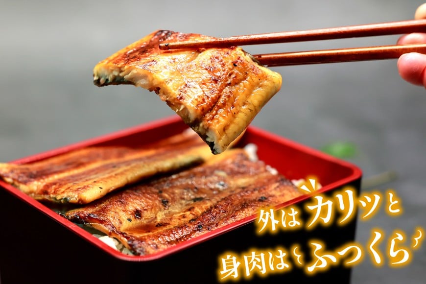 うなぎ 国産 蒲焼 65g×2切【有機原材料使用たれ】 [フーズ・ユー 静岡県 吉田町 22424523] 綱正 鰻 ウナギ unagi 蒲焼き うなぎ蒲焼き うなぎ蒲焼 鰻蒲焼 冷蔵