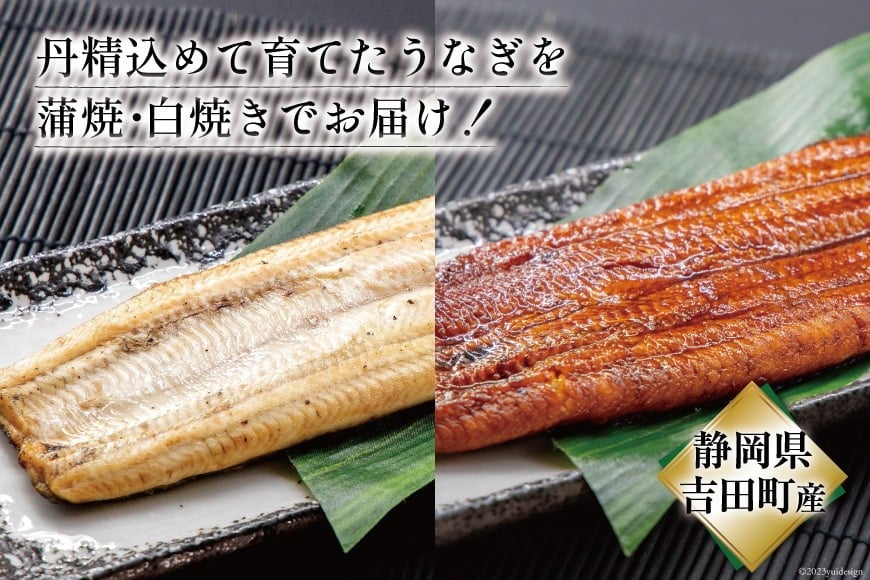 うなぎ 国産 静岡 定期便 蒲焼 2尾 & 白焼 2尾 6回 総計24尾 食べ比べセット [大井川うなぎ 静岡県 吉田町 22424562] 静岡県産 鰻 ウナギ ungai 蒲焼き うなぎ蒲焼き 鰻蒲焼 白焼き タレ たれ 山椒 真空パック 冷凍