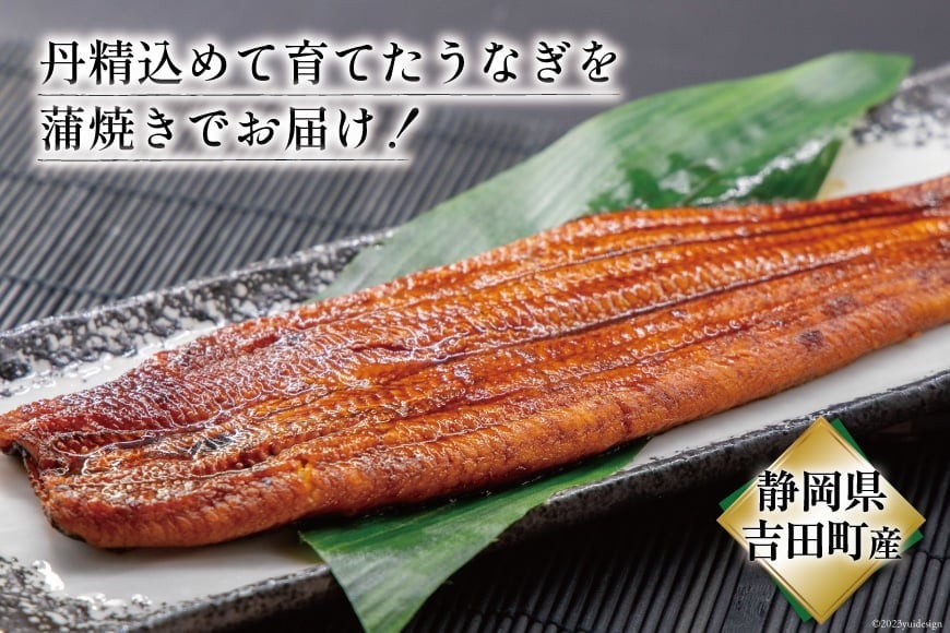 うなぎ 国産 静岡 定期便 蒲焼 150g以上 2尾 6回 総計12尾 [大井川うなぎ 静岡県 吉田町 22424566] 静岡県産 鰻 ウナギ ungai 蒲焼き うなぎ蒲焼き 鰻蒲焼 タレ たれ 山椒 真空パック 冷凍