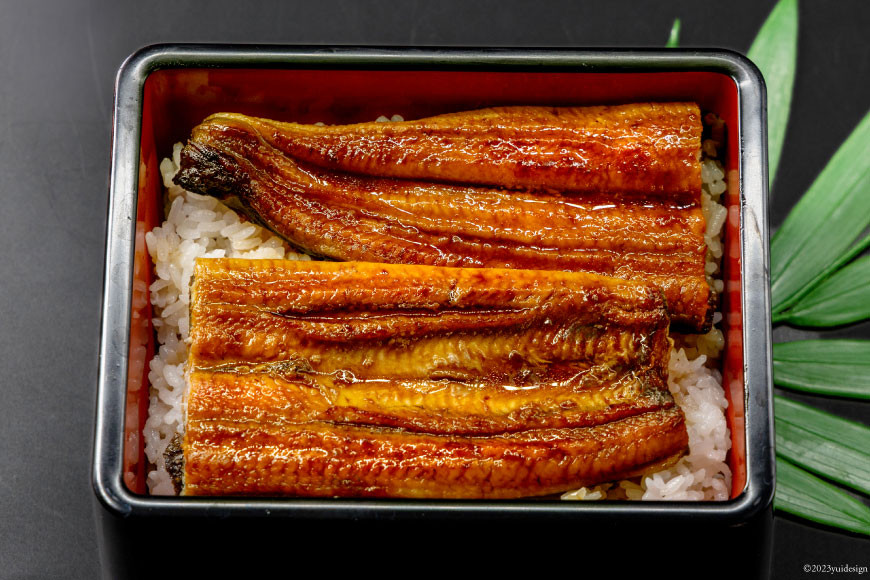 うなぎ 国産 静岡 蒲焼 長焼 120g×3 計360g [静岡うなぎ漁業協同組合 静岡県 吉田町 22424073] 静岡県産 鰻 ウナギ 蒲焼き 真空パック 冷凍