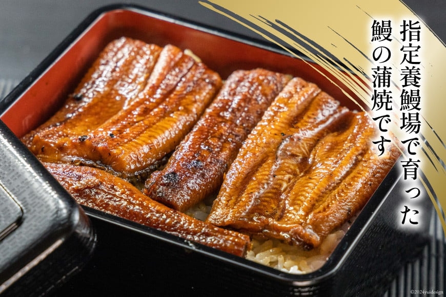 静岡県産 うなぎ蒲焼 パックカット 80g ×2パック [静岡鰻販売 静岡県 吉田町 22424148] レンジ うなぎ 鰻 レンチン ウナギ 蒲焼き 蒲焼 タレ付き 冷凍