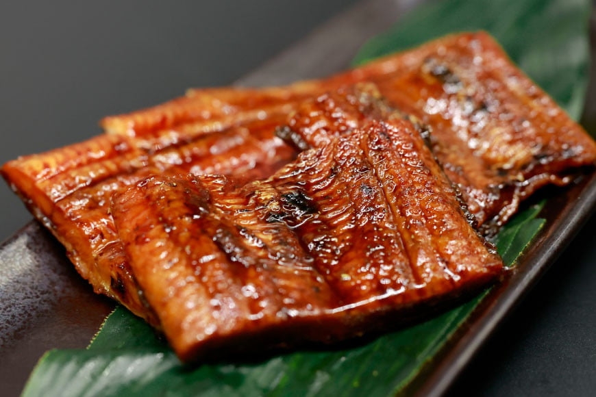 うなぎ 国産 静岡 うなぎ蒲焼 ハーフカット 100g ×6 計600g [静岡鰻販売 静岡県 吉田町 22424172] 鰻 ウナギ うなぎ蒲焼き うなぎ蒲焼 真空パック 冷凍 蒲焼 肉厚 ふっくら