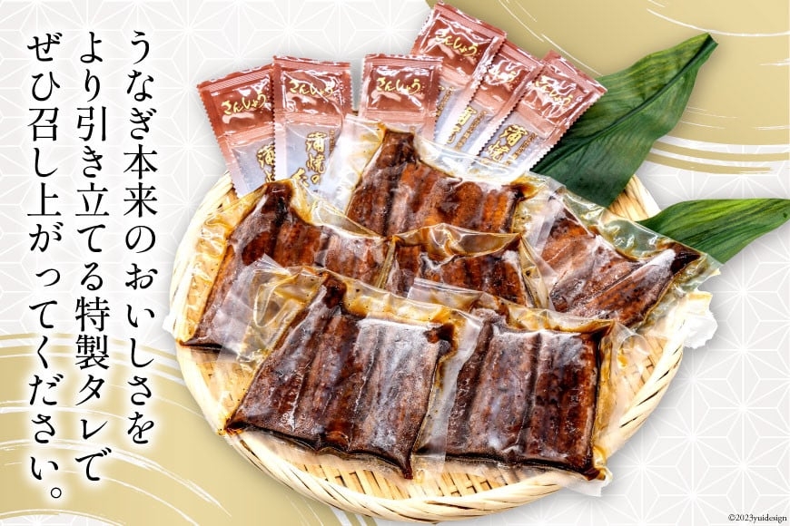 うなぎ 国産 静岡 うなぎ蒲焼 カット 80g ×6 計480g [静岡鰻販売 静岡県 吉田町 22424173] レンジ 鰻 レンチン ウナギ うなぎ蒲焼き うなぎ蒲焼 真空パック 冷凍 蒲焼 肉厚 ふっくら 静岡県産