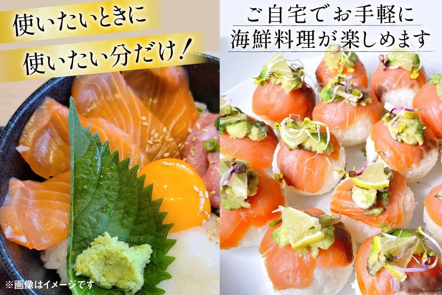 サーモン 切り落とし 味付き 60g 20パック 計1.2kg 冷凍 小分け [トライ産業 静岡県 吉田町 22424419-a] トラウトサーモン さーもん 刺身 刺身用 海鮮丼