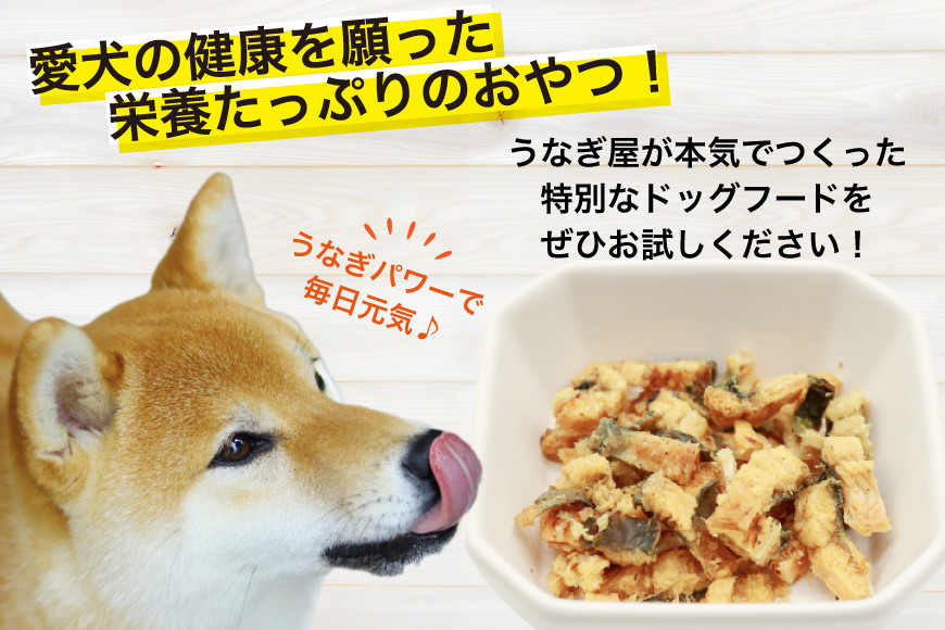 ドッグフード うなぎ 白焼き チップス 50g 4パック 計200g [ヤマカ松本商店 静岡県 吉田町 22424496] ペットフード 犬用 犬 いぬ ペット エサ 餌 おやつ レトルト